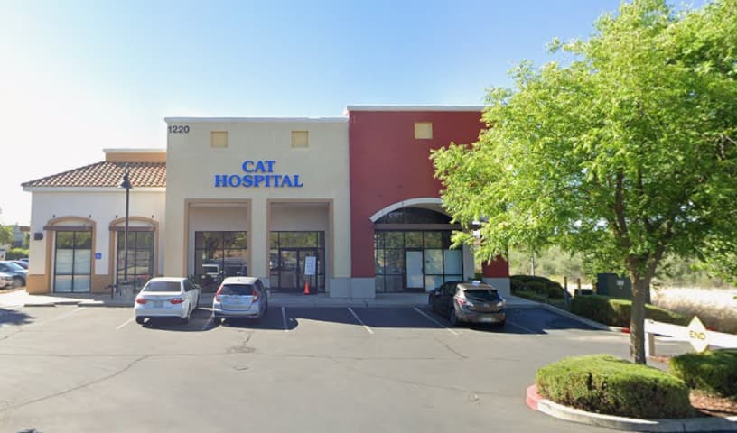 Cats Only Veterinary Hospital