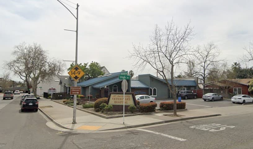 All American City Veterinary Hospital