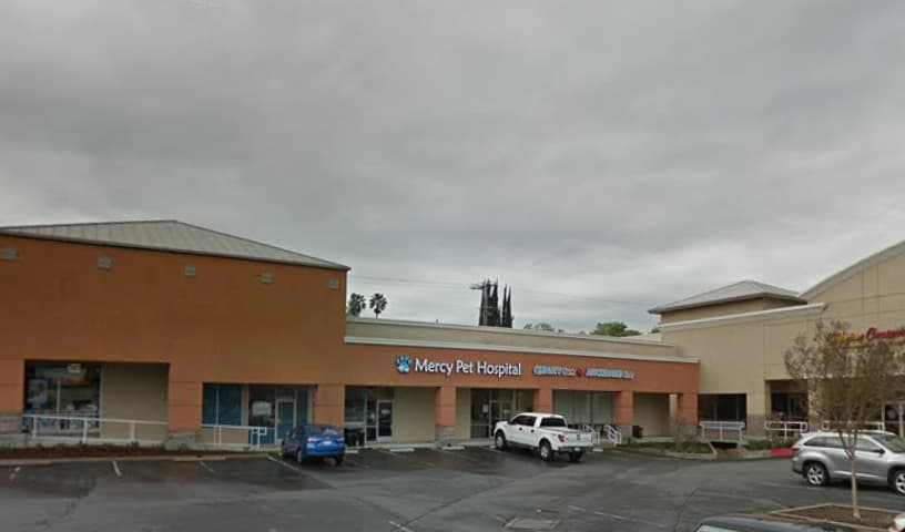 Mercy Pet Hospital