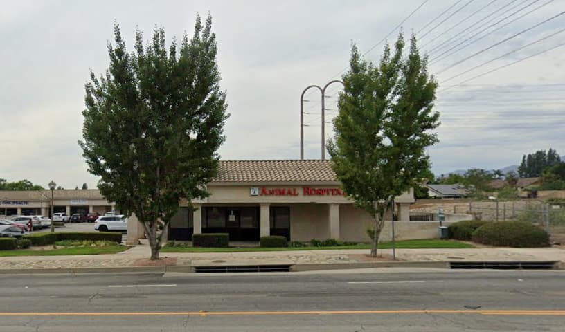 Angels' Care Animal Hospital