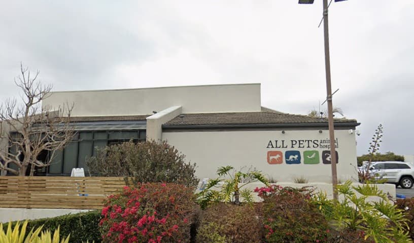 All Pets Animal Hospital