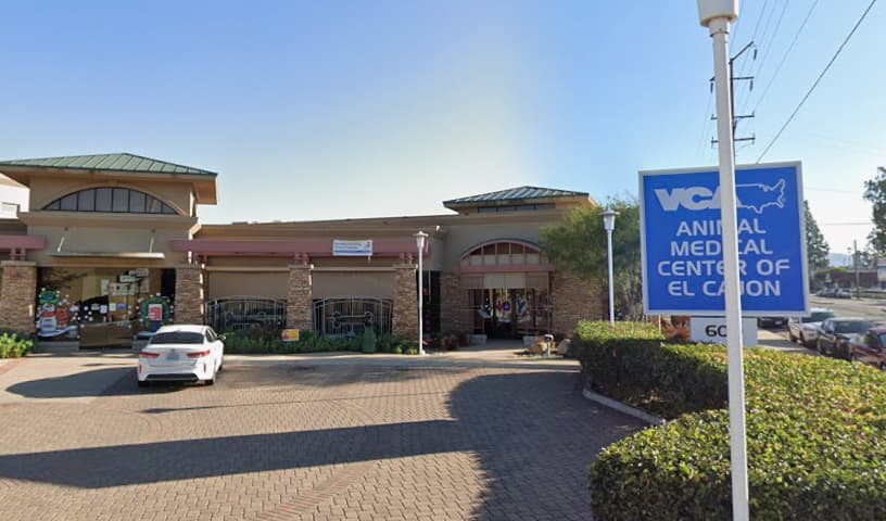 VCA Animal Medical Center of El Cajon