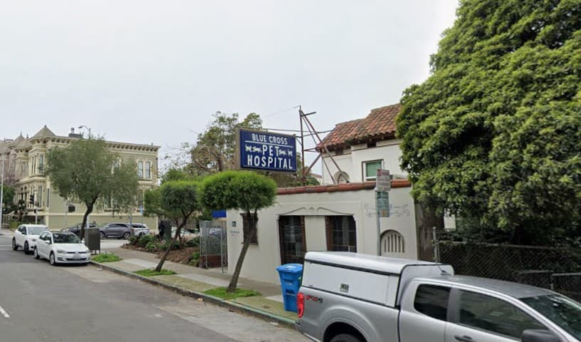 Blue Cross Pet Hospital