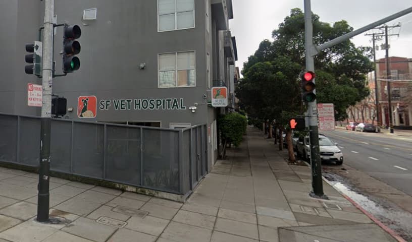SF Vet Hospital