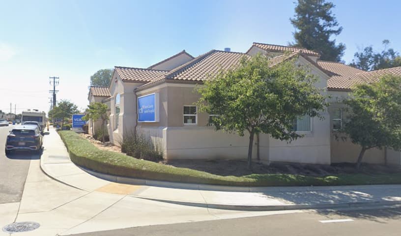 VCA South County Animal Hospital