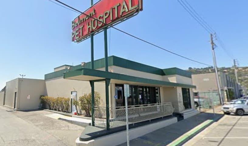 Belmont Pet Hospital