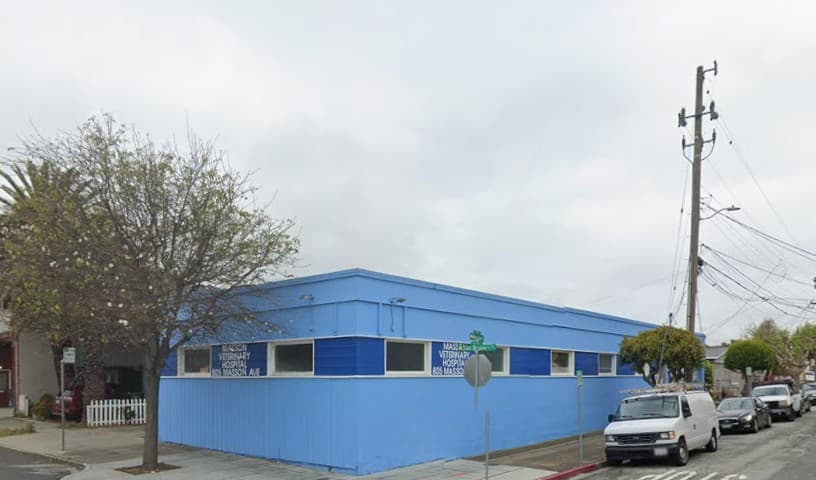 Masson Veterinary Hospital