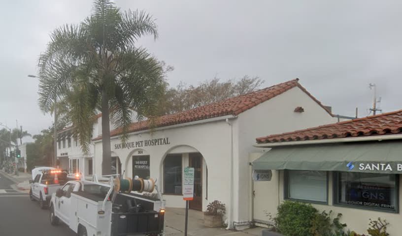 San Roque Pet Hospital's Pet Hotel