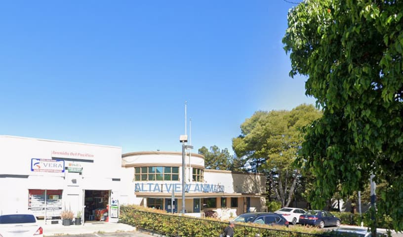 Alta View Animal Hospital