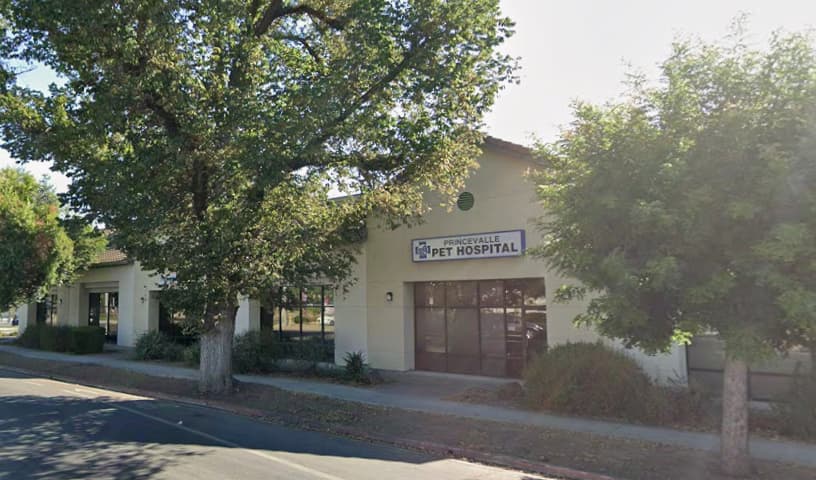 Princevalle Pet Hospital