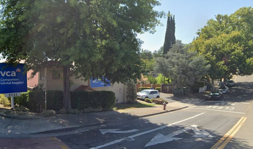 VCA Companion Animal Hospital
