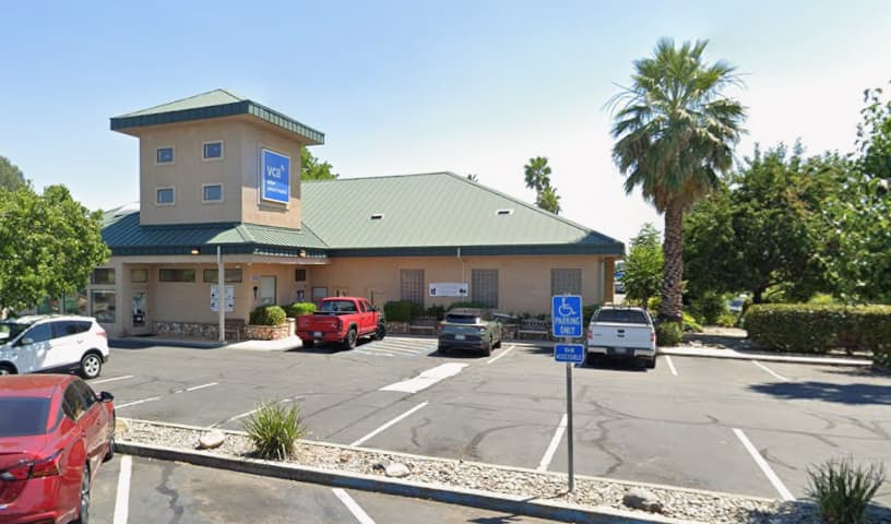 VCA Asher Animal Hospital