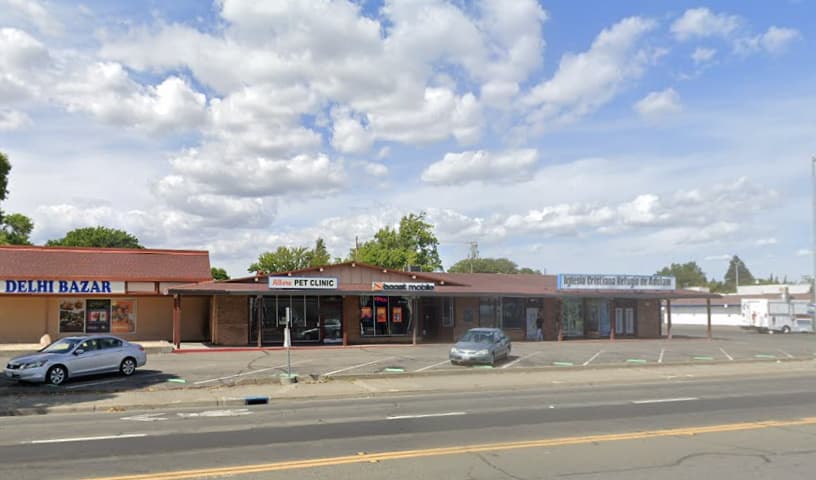 Albern Pet Clinic