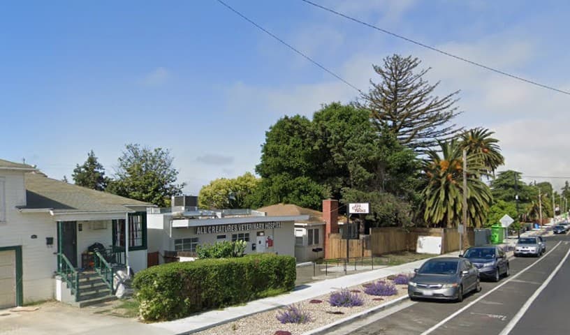 New All Creatures Veterinary Hospital