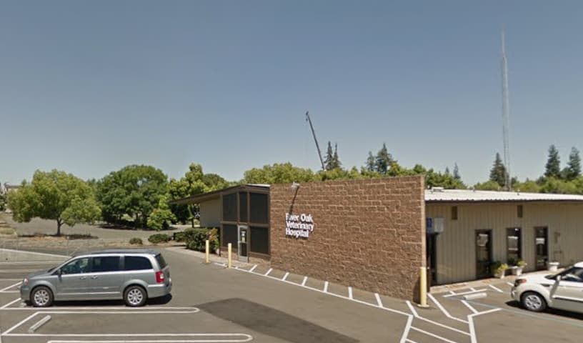 River Oak Veterinary Hospital