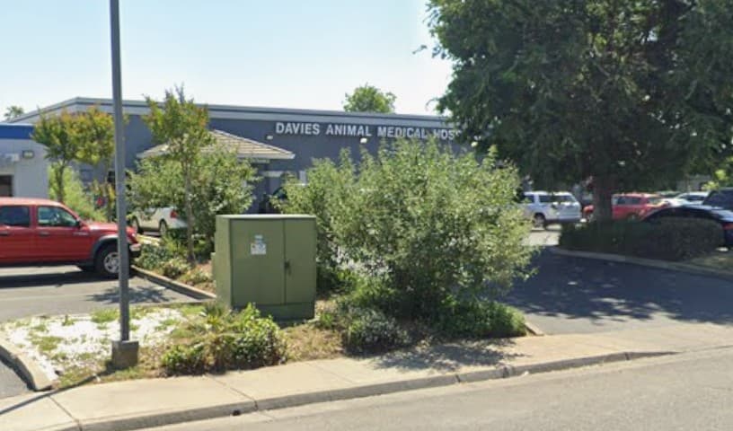 Davies Animal Medical Hospital