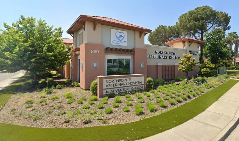 VCA Northpointe Veterinary Hospital