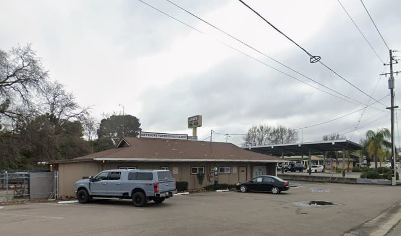 Antelope Veterinary Clinic, Inc.