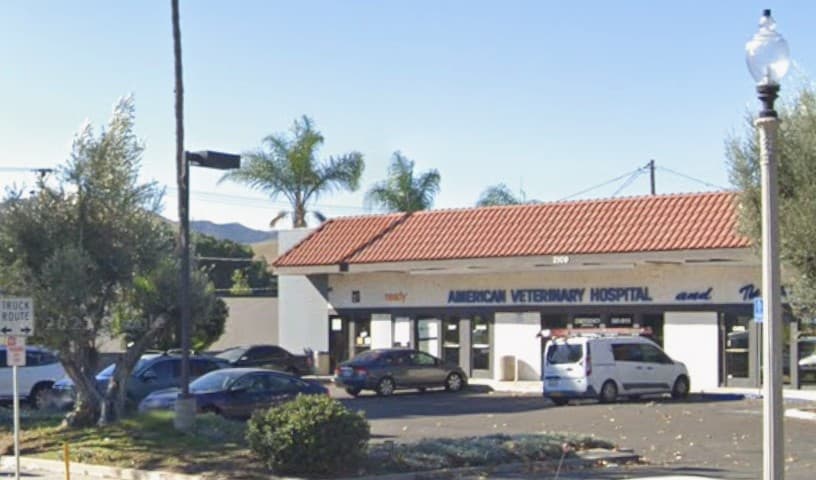 American Veterinary Hospital