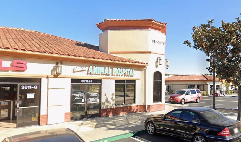 Marina Animal Hospital