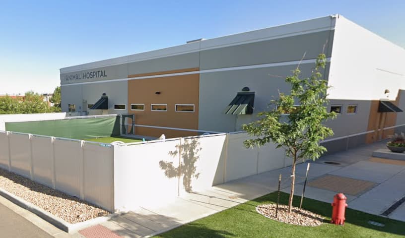 Aspen Arbor Animal Hospital