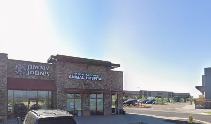 Pine Grove Animal Hospital