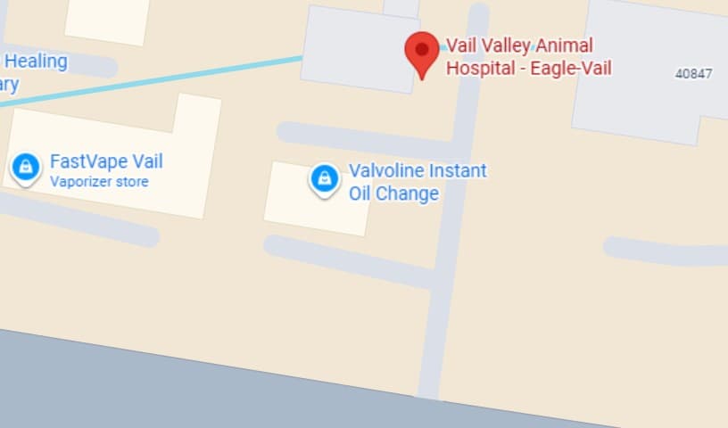 Vail Valley Animal Hospital - Eagle-Vail