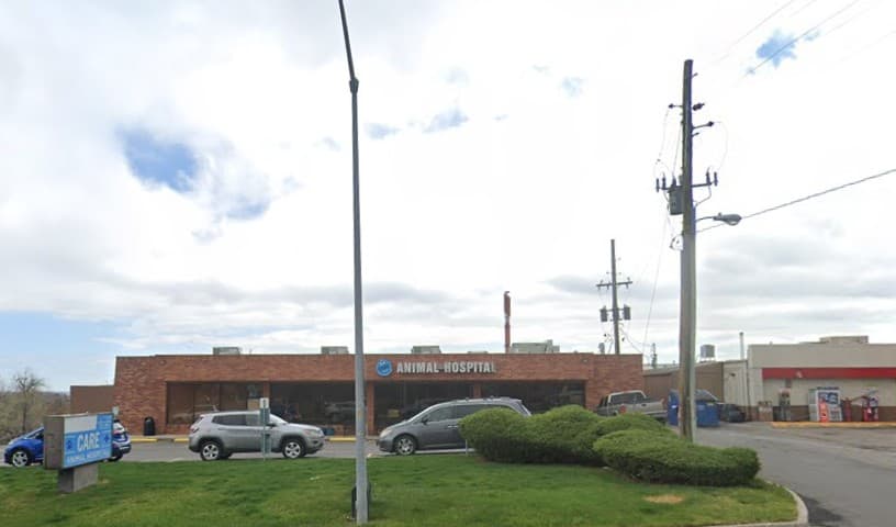 Care Animal Hospital in Arvada