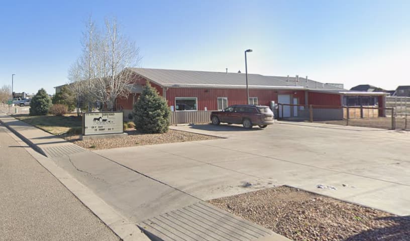 Tabby Road Animal Hospital