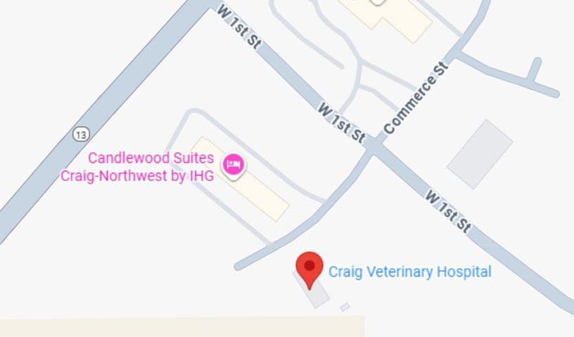 Craig Veterinary Hospital