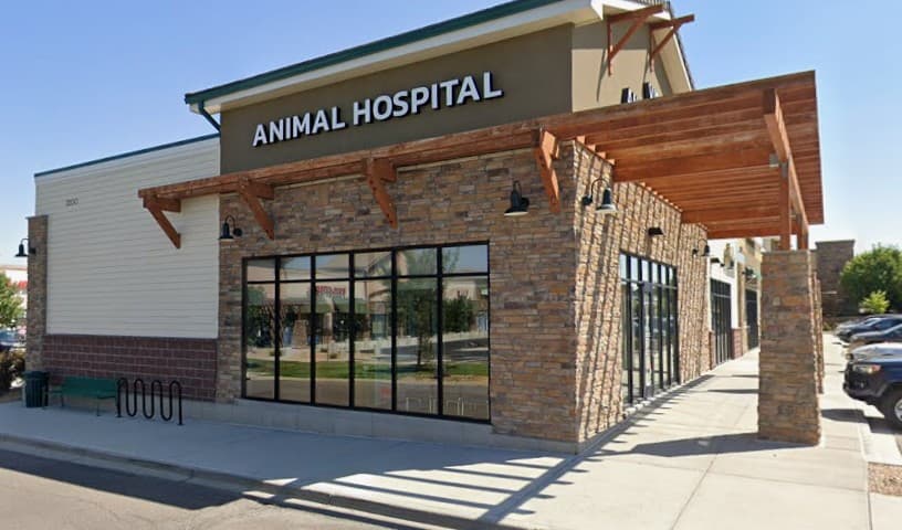 Vista Animal Hospital