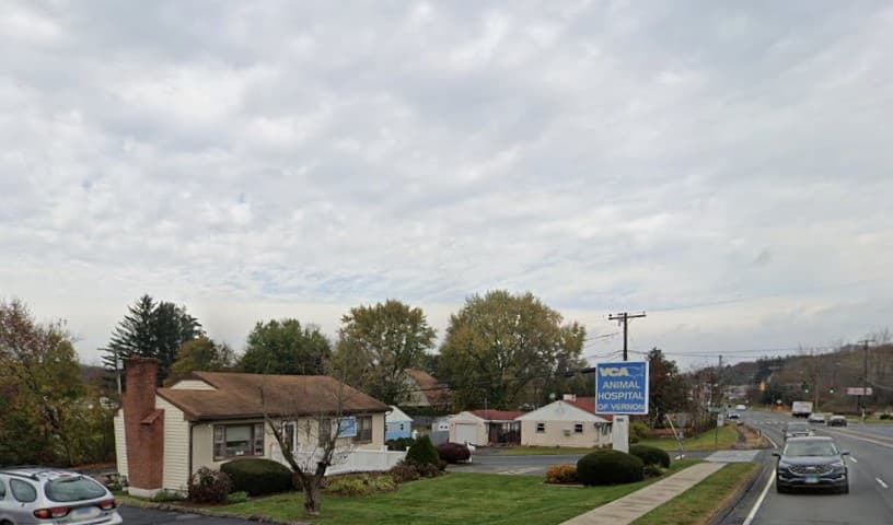 VCA Animal Hospital of Vernon