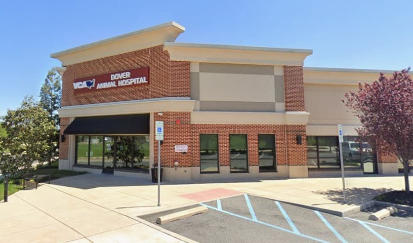 VCA Dover Animal Hospital