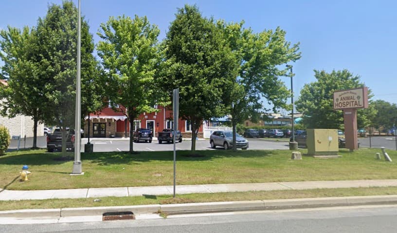 Rehoboth Beach Animal Hospital