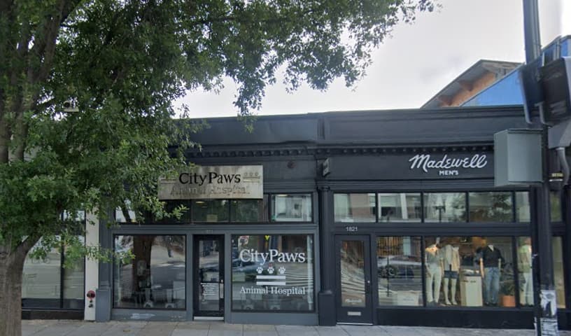 City Paws Animal Hospital