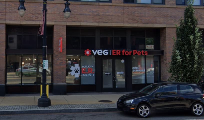 VEG ER for Pets