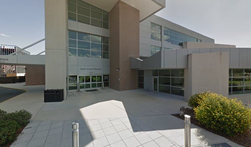 UF Small Animal Hospital