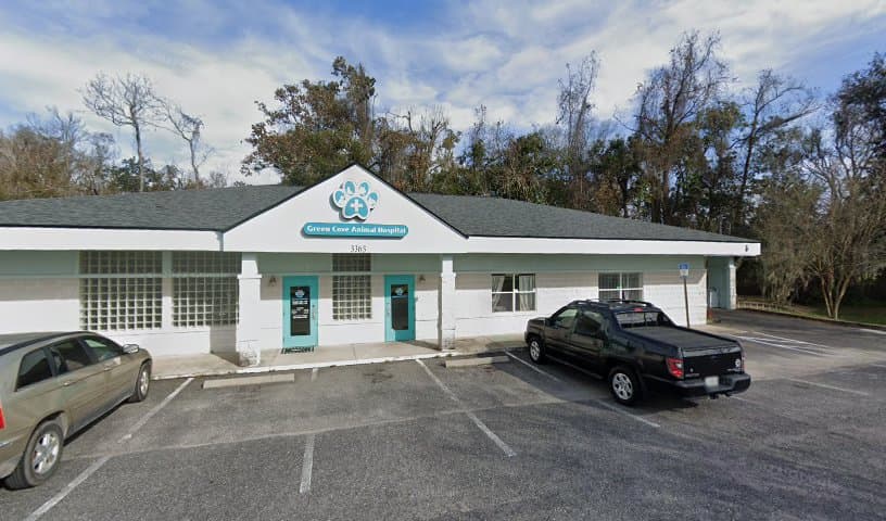 Green Cove Animal Hospital
