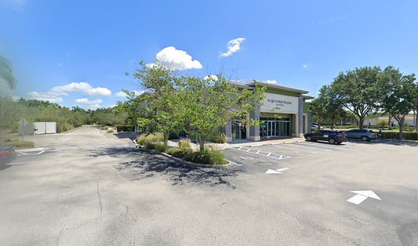 Angel Animal Hospital & Boarding
