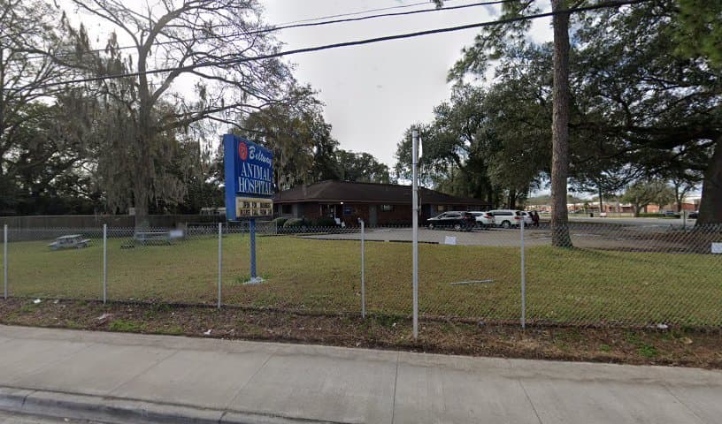 Beltway Animal Hospital