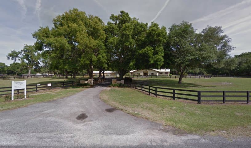 Central Equine Hospital