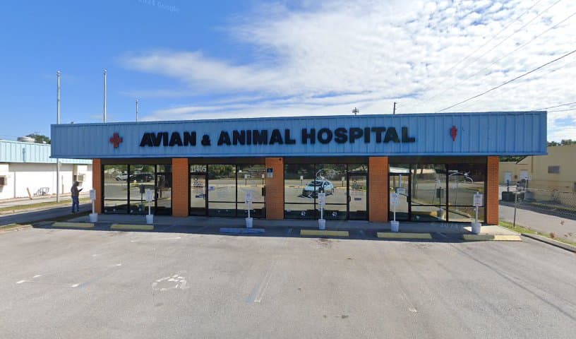 Avian & Animal Hospital