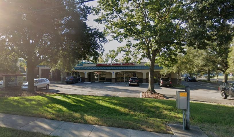 Jonesville Animal Hospital