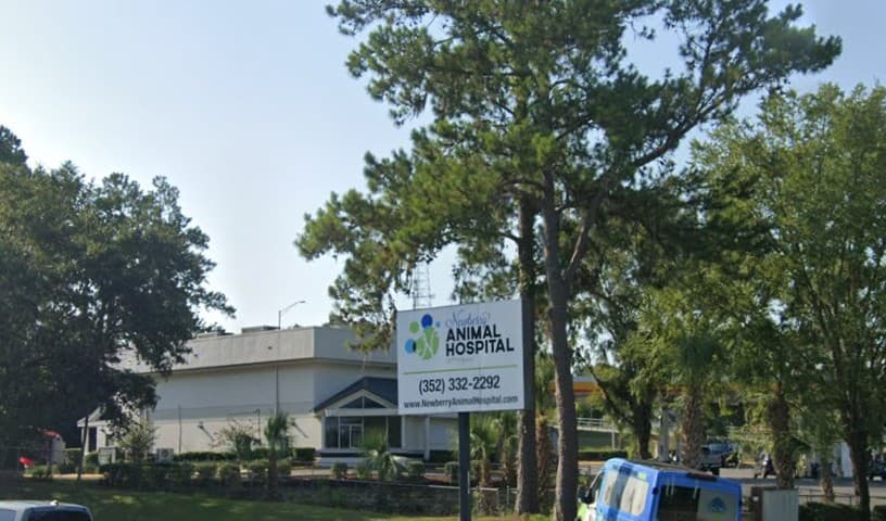 Newberry Animal Hospital 39th Ave.