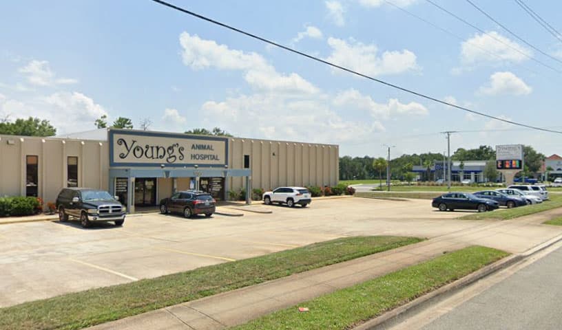 Young's Animal Hospital