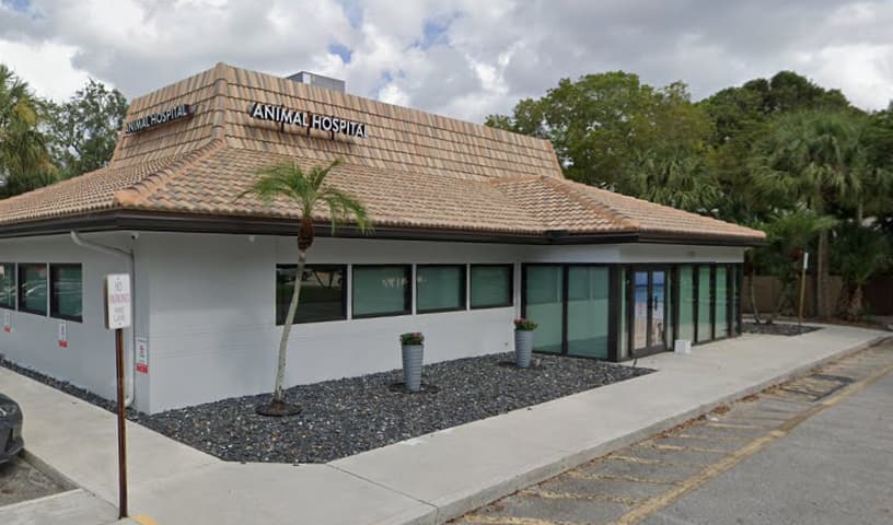 Just Paws Animal Hospital