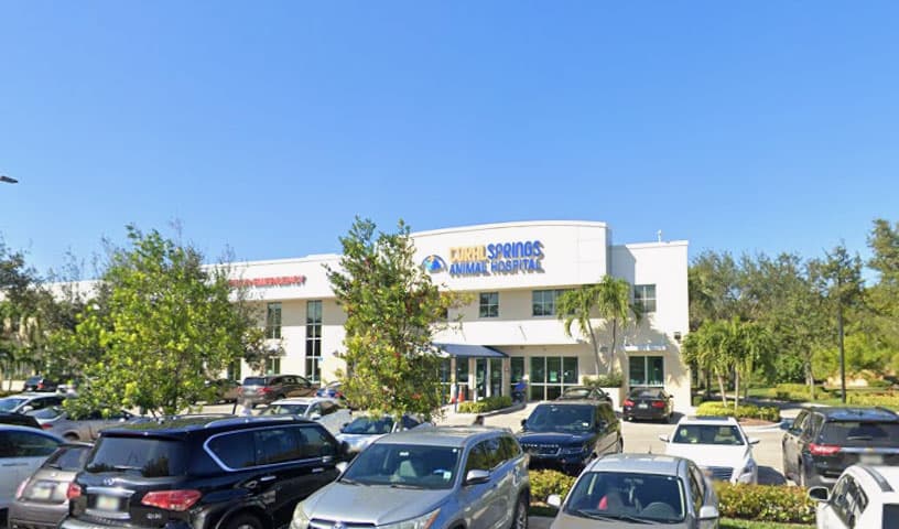Coral Springs Animal Hospital