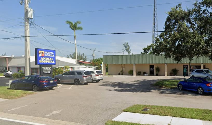 Punta Gorda Animal Hospital