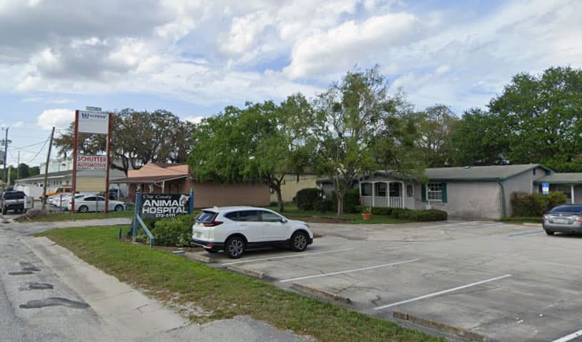 Clay County Animal Hospital