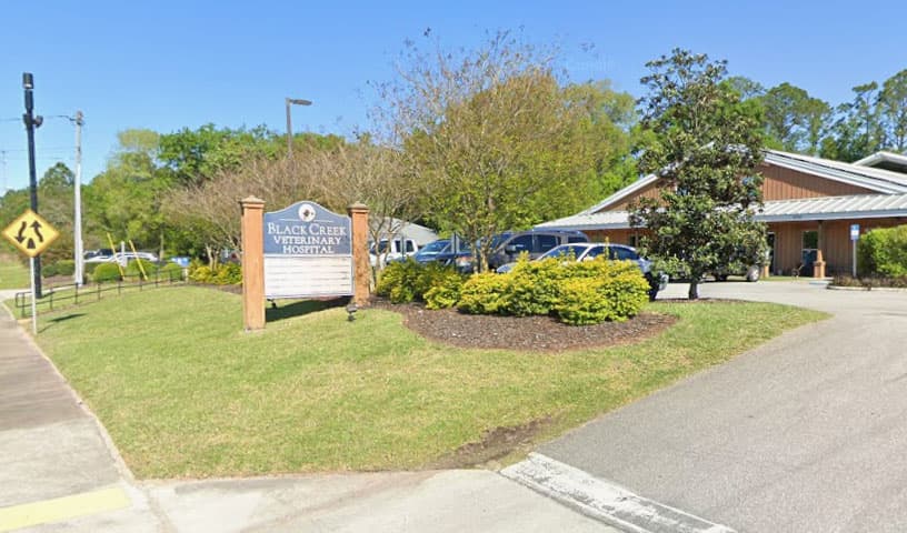 Black Creek Veterinary Hospital